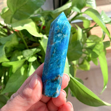 Load image into Gallery viewer, Blue Apatite Point